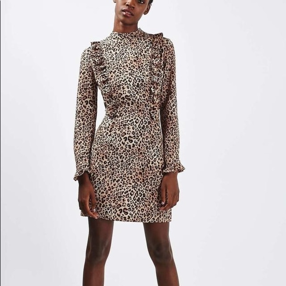 Topshop leopard dress high neck frill long sleeve